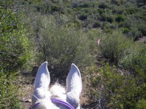 154_546704293151_9018_n