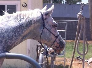 11058695_10105206379480681_3819690293170896020_n