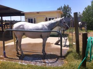 11246975_10105206379460721_2848260255614152626_n