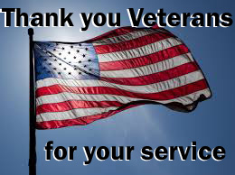 flag veterans day copy