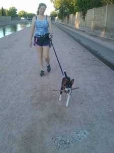 IMG00949-20140828-0621