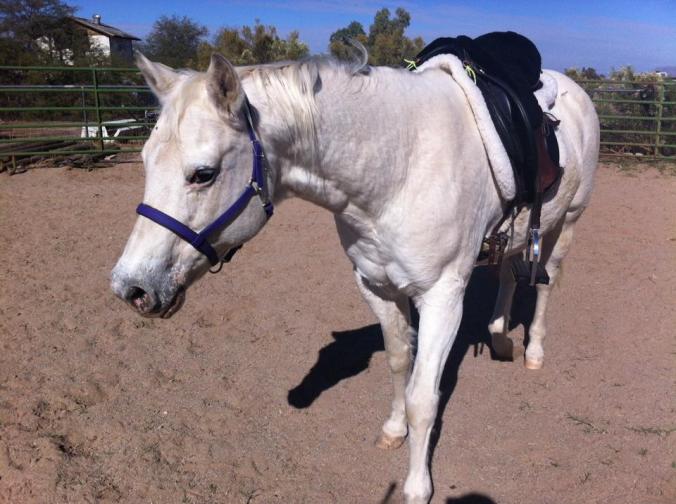 12274412_10105678981173101_1461359090264610196_n