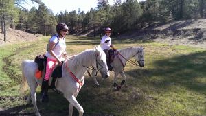 977131_603928109632009_1311598310_o