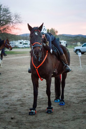 2016-Bumble Bee proofs-0006