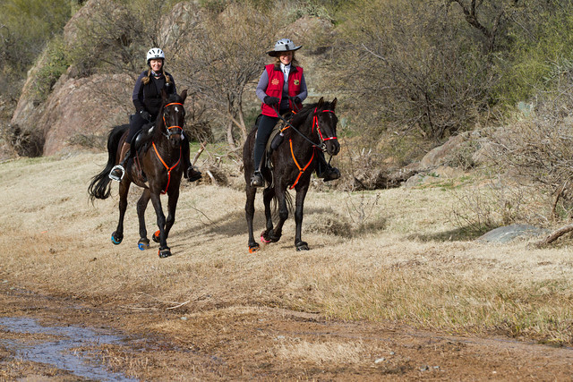 2016-Bumble Bee proofs-0465