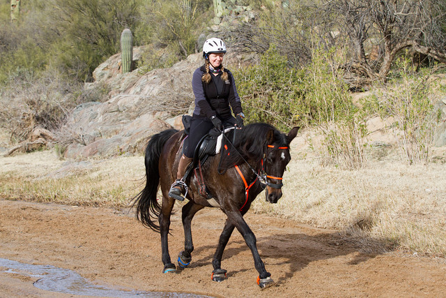 2016-Bumble Bee proofs-0468