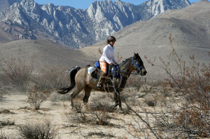 1385874_10200825521501338_212480702_n