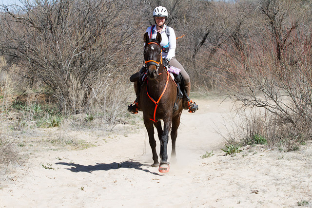 2016-Wickenburg-0894