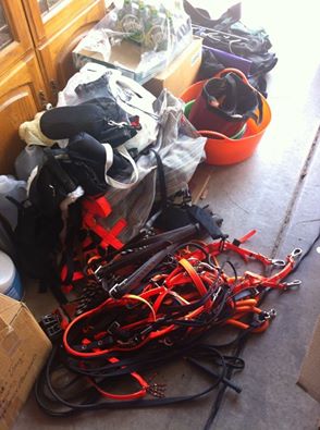 13174141_10106227745230531_1480937788013934461_n