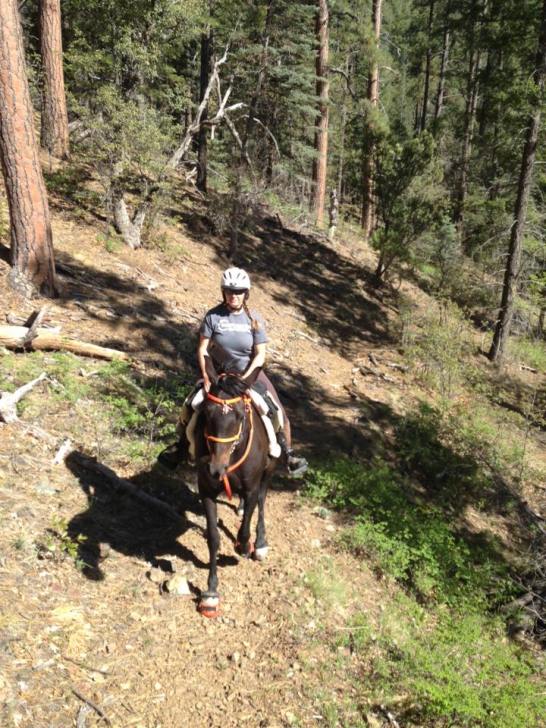 13227092_10209972013003212_2980825647035590312_n