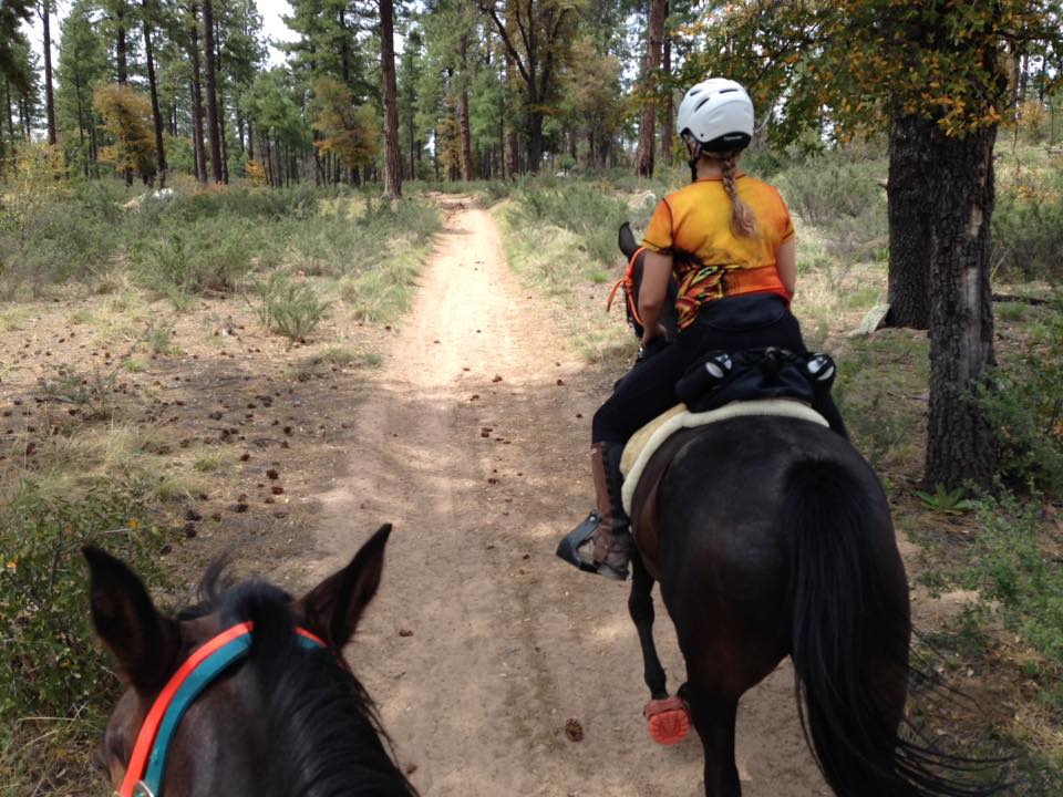 13237676_10209971313545726_2677791922518854050_n