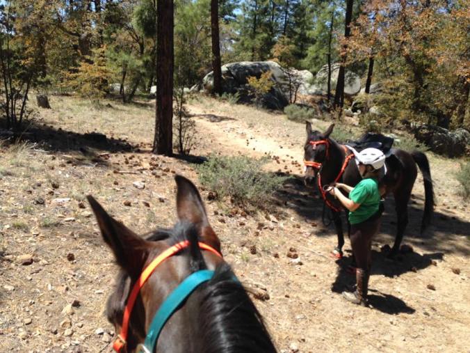 13239892_10209971327186067_5327549240758759001_n