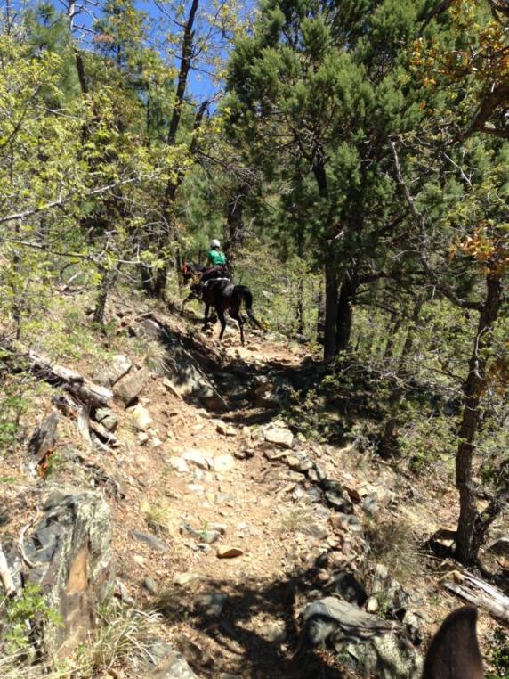 13240552_10209971328346096_4531096735806750438_n