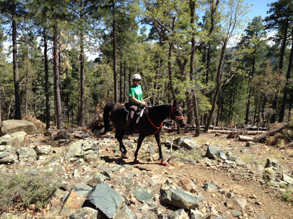 13244665_10209971329546126_2919918150705559858_n