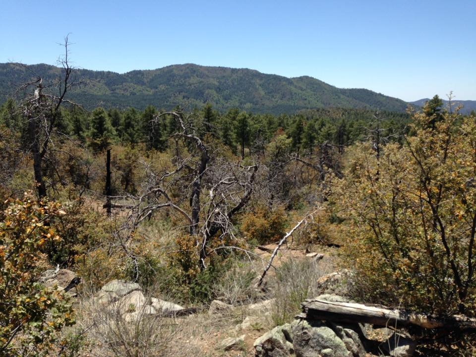 13244786_10209971327466074_2928334451275809915_n