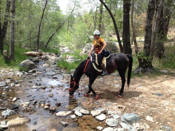 13254385_10209971334346246_2329359787558735157_n