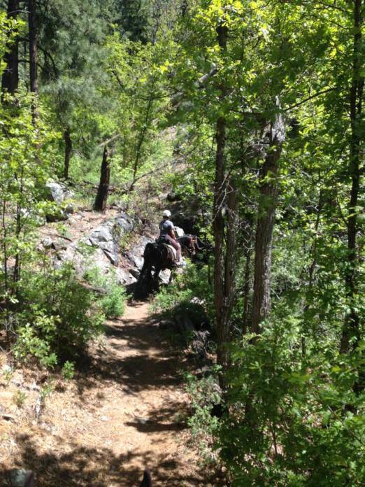 13266074_10209972008763106_3116196569184991678_n