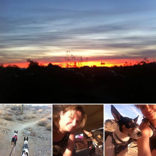 14533723_1945326942419397_2579364750169210880_n