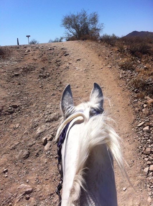 18446726_10107929500918491_4327744469887641097_n