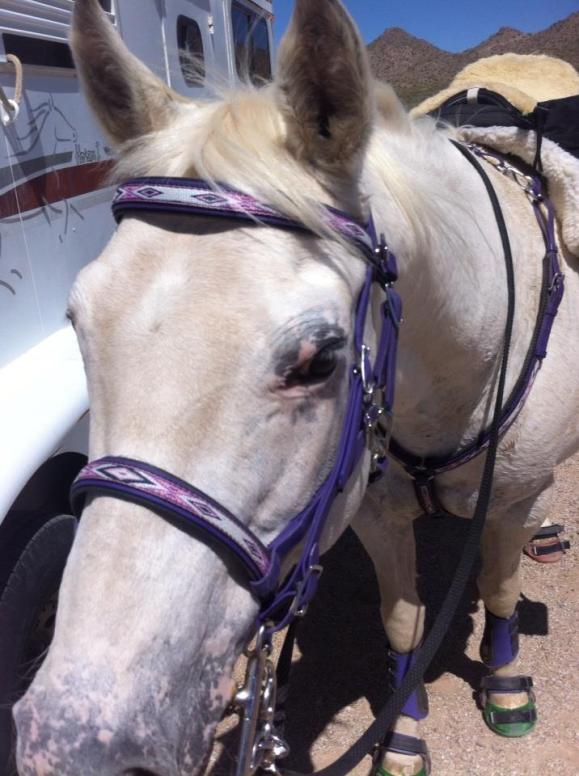 18739975_10107995906960251_3130346395982728038_n