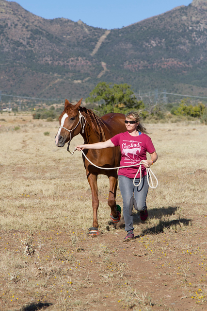 74034287-2017-ManAgainstHorse-0046