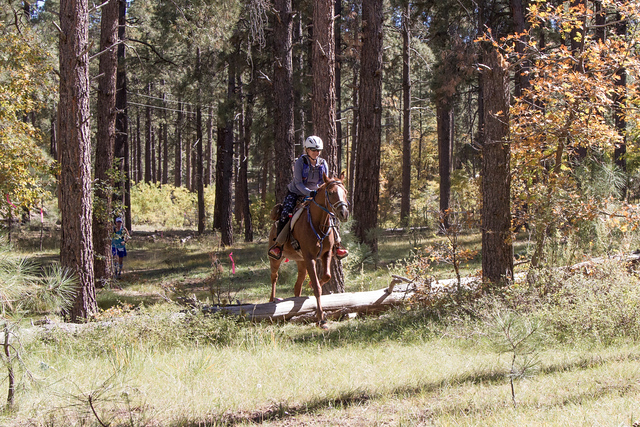 74034292-2017-ManAgainstHorse-0637