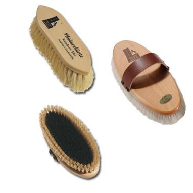 Starging_Gate_4_edited-1_1024x1024