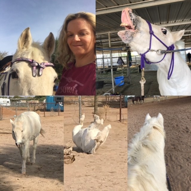 thumbnail_76C6E781-18BC-4A81-878D-C7DFC0FF9DCB