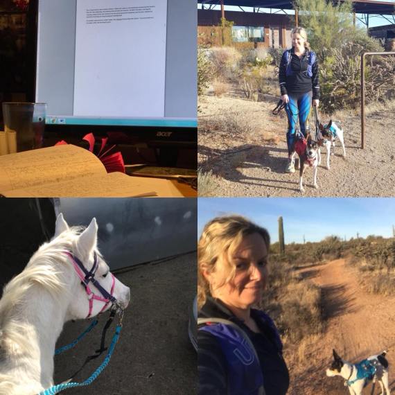 26114014_10109042908440891_7597642950898523369_n