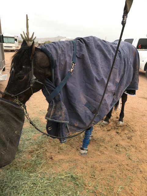 thumbnail_53817062563__94AF0F3A-B371-4FBC-9A73-AA68F0B214E4