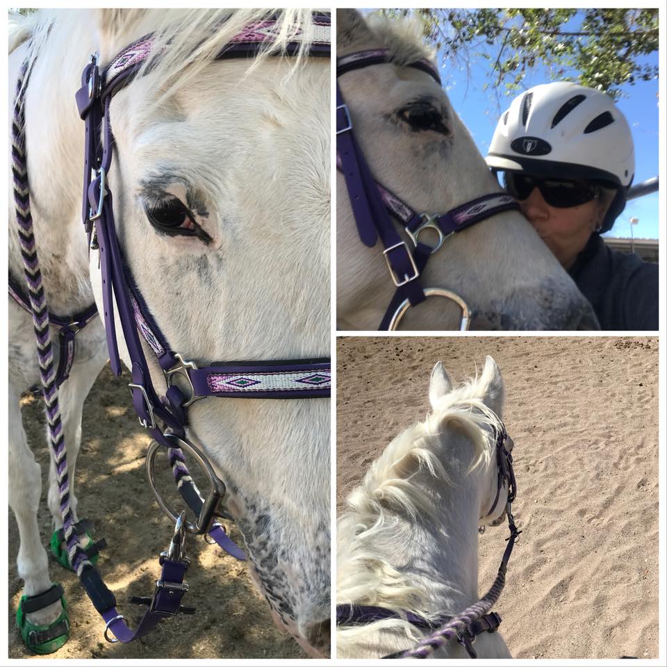 29342934_10109353186241691_8221552017206673408_n