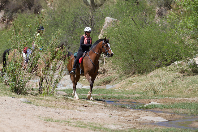 76195742-2018-Bumble-Bee-0665