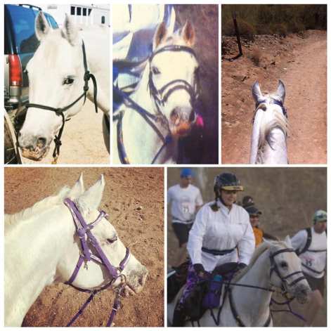 43788220_10110084499224611_464192248511201280_n