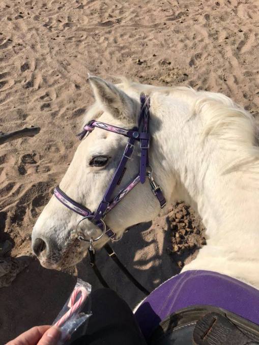 46492893_10110212344935781_2460359877936021504_n