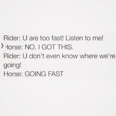 12011317_10205881057958187_442350312197188021_n