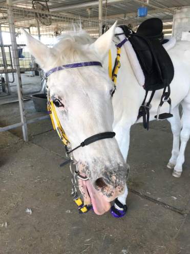 33126629_10109580496999111_9018200006015844352_n