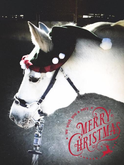 48417245_10110339464003151_7876903693684047872_n