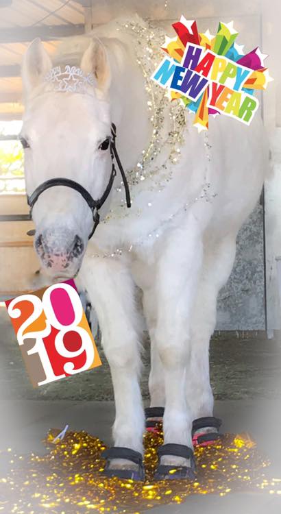 49065365_10110365910409341_1739634897896603648_n