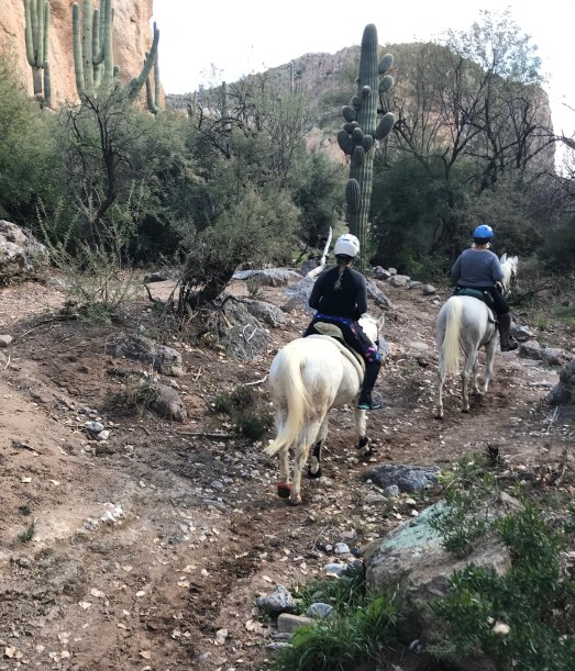 Bonus of riding with other people...I finally get media of me riding my own pony! And proof that I really need to work on my collapsing right ribcage habit.
