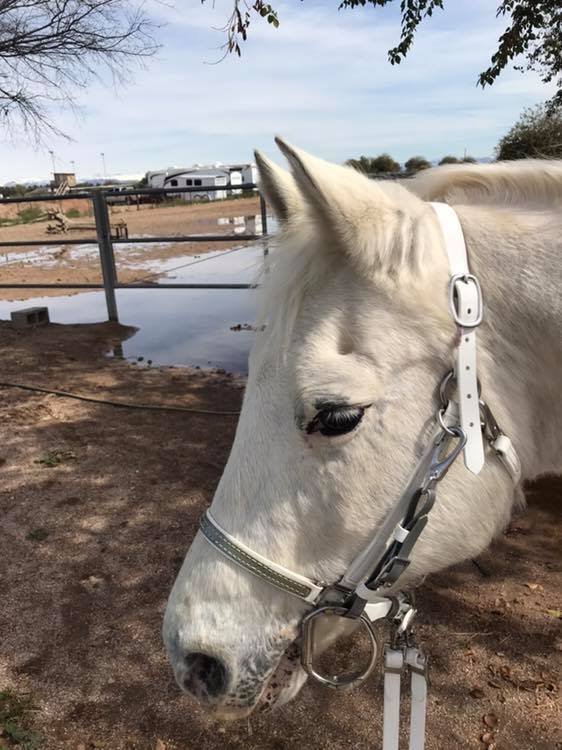 53266982_10110564347265291_3688741767500267520_n