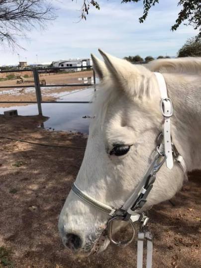 53266982_10110564347265291_3688741767500267520_n