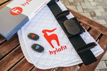 78256654_2596817367020386_6714195354473988096_o