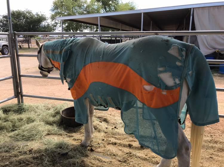 60123280_10110824567422011_5949061993141895168_n