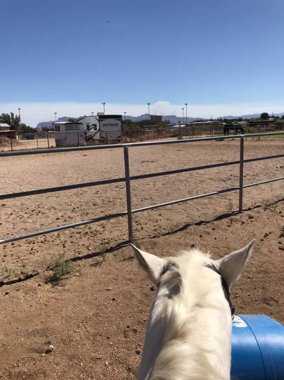 64767702_10110979768263281_3529386111312855040_n