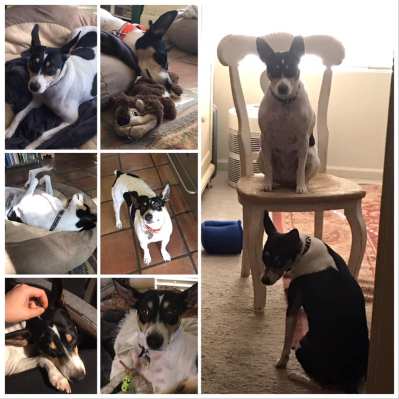 72689072_10111479177712741_177952662715629568_n