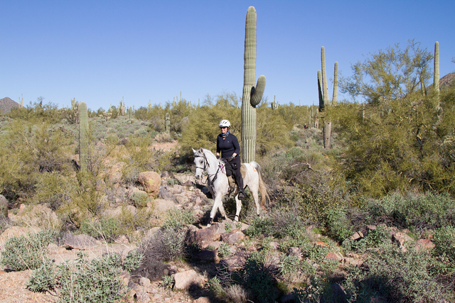 84504907-2020-Tonto+Twist+50-0262