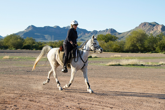 84504911-2020-Tonto+Twist+50-0789