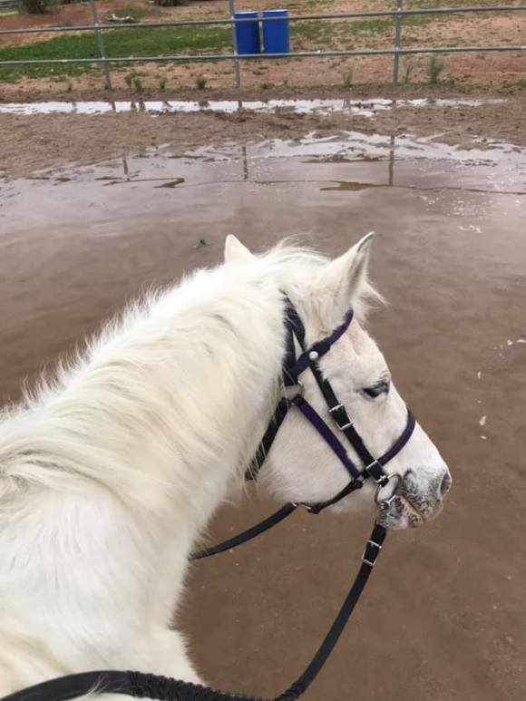 87776290_10112053277122921_3813262601807200256_n