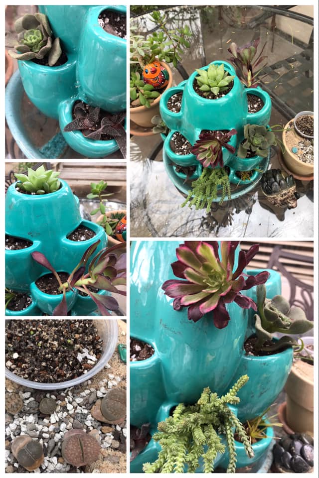 88108713_10112091835786051_967320681958080512_n