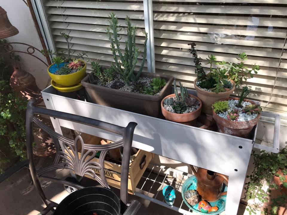 90269015_10112222698685751_204282409967943680_n